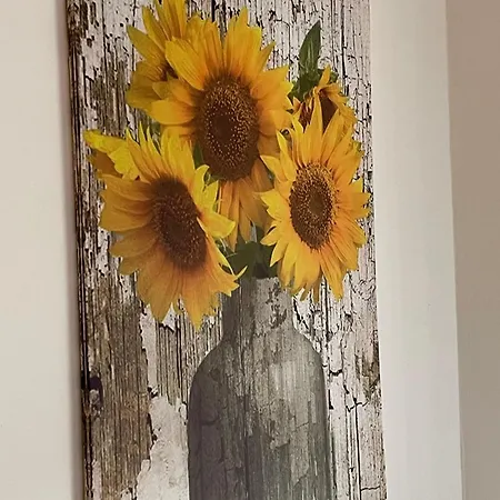 Appartement Casa Girasole *