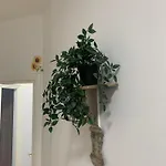 Appartement Casa Girasole *